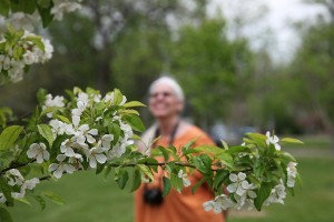 flowerfarmbecca2011 376